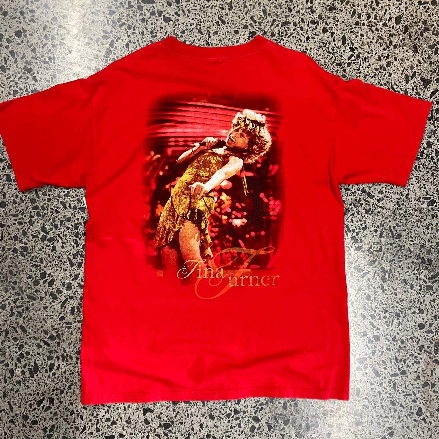 Vintage Tina Turner Tee