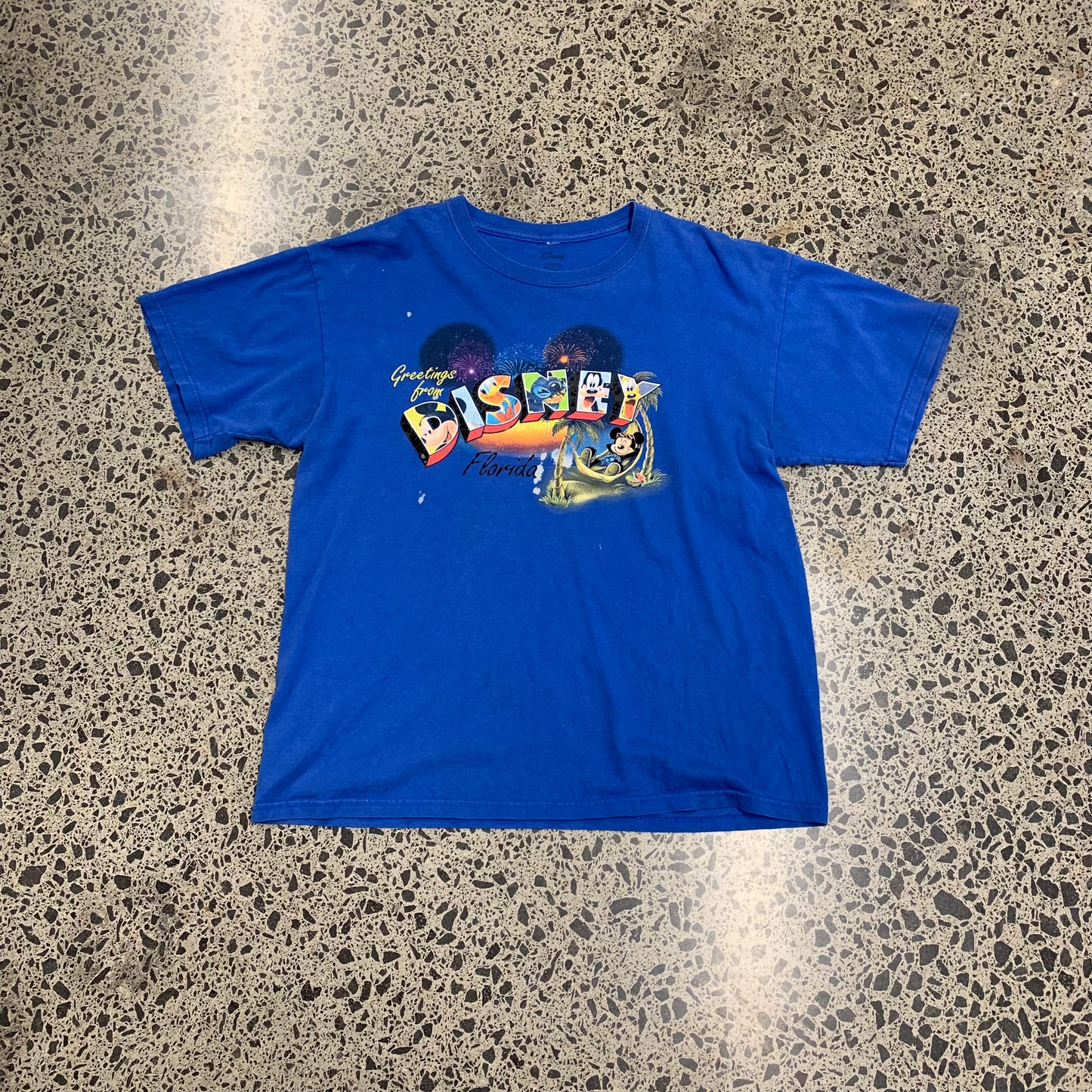 Vintage Disney Florida Tee